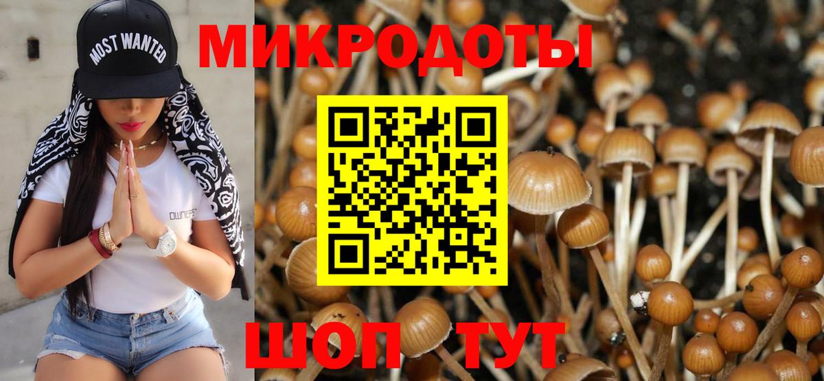 Псилоцибиновые грибы MAGIC MUSHROOMS  Галлюциногенные грибы мицелий  Вход с VPN  Октябрьский 